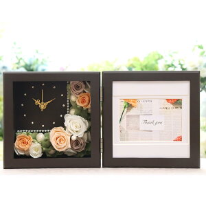 Ԏv ʐ^ ̌^t[ vU[uht[ uv v tHgt[ j e  ސEj  v[g 蕨 ei LO LOi a Mtg 