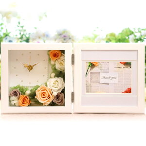 Ԏv ʐ^ ̌^t[ vU[uht[ uv v tHgt[ j e  ސEj  v[g 蕨 ei LO LOi a Mtg 