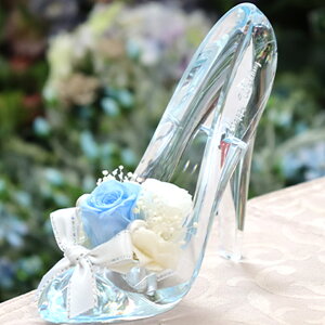 ~fD] Vf̌C vU[uht[ Vf a j ސEj v[g Mtg 蕨 LO uU[h t- uU[uht[   