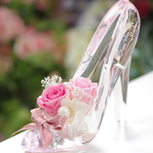   Vf̌C vU[uht[ O  a j LO ސEj NސE KX̌C Mtg v[g   o v|[Y   ޏ 