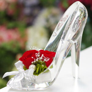   Vf̌C vU[uht[ O  a j LO ސEj NސE KX̌C Mtg v[g   o v|[Y   ޏ 