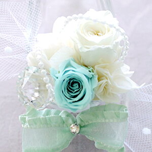  vU[uht[ a ސEj j Mtg o t[ v[g uU[uh t[  j  j i ޏ  KX̌C  LO d  