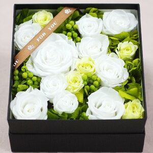 vU[uht[ a {bNX v[g Mtg a vU[uh t[ ސEj NސE j   蕨 җj  j i {bNX  o K