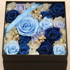 vU[uht[ a {bNX v[g Mtg a vU[uh t[ ސEj NސE j   蕨 җj  j i {bNX  o K