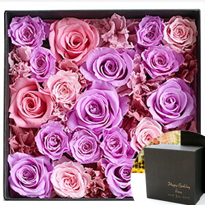  vU[uht[ O  Mtg v~A{bNX ̓ a  e d ސEj v[g  vU[uh t[ җj j ސEj j