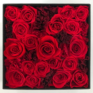 vU[uht[ J[l[V  {bNXt[ v~A{bNX Mtg a v[g  e d ސEj  vU[uh uU[h t[ j 