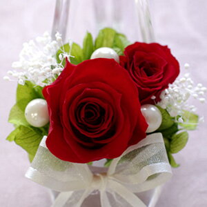  vU[uht[ O  KX̌C d  a ̓ Mtg Ԃ ސEj l LO v[g j  i j  vU[uh t