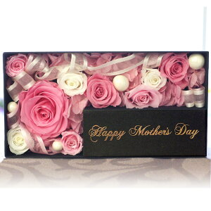 ̓ vU[uht[ vU[uh t[ box Os[ Mtg v[g 蕨  vU[uh t[   bh sN  u[   ޏ  