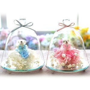 vU[uht[ KXh[ nbs[xA a Mtg TvCY v[g j ސEj o [Y   xA ʂ uU[uht[ d  t[