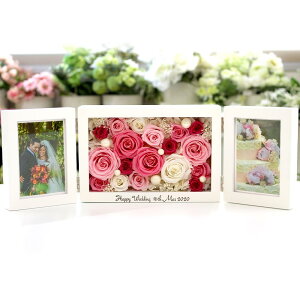  vU[uht[ O  ʐ^ tHgt[ vU[uh t[ a ސEj j  e v[g ei 蕨 Mtg  ʐ^ 