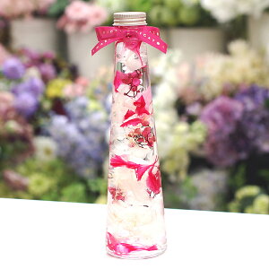 J[l[V  n[oE Mtg Z] v[g a ސEj j LO   lC  蕨 j vU[uht[ t[  o [Y 