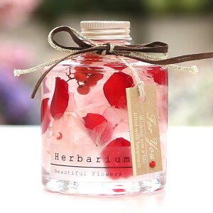 a `[t n[oE o[Xf[ 12 Mtg J[l[V  f a v[g Mtg  ސEj lC j LO 蕨 j   n[o