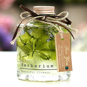 a `[t n[oE o[Xf[ 12 Mtg J[l[V  f a v[g Mtg  ސEj lC j LO 蕨 j   n[o