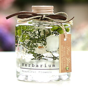 a `[t n[oE o[Xf[ 12 Mtg J[l[V  f a v[g Mtg  ސEj lC j LO 蕨 j   n[o