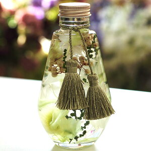  f n[oE AW   t[ vU[uht[   E @  l\  䋟 ~ ފ 䋟 n[o[ n[o[AW 