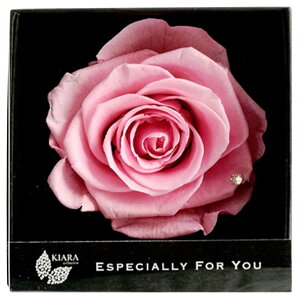 vU[uht[ t[ a ސEj Ԃ  v|[Y  j LO NސE v[g Mtg j {bNX Mtg d  o ΂  1