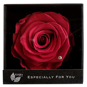 vU[uht[ t[ a ސEj Ԃ  v|[Y  j LO NސE v[g Mtg j {bNX Mtg d  o ΂  1