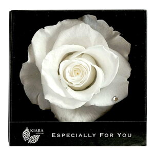 vU[uht[ t[ a ސEj Ԃ  v|[Y  j LO NސE v[g Mtg j {bNX Mtg d  o ΂  1