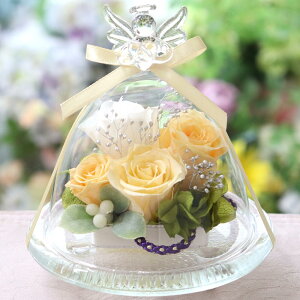  f VgF vU[uht[ KXh[ GWF 䋟      h[ ~ ފ ͂Ȃ   vU[uh uU[h t[ vU 