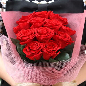 vU[uht[ o 12 ԑ v|[Y  KN  vU[uh uU[h t[ j LO ސEj Mtg a LO v[g 蕨 j t[ 