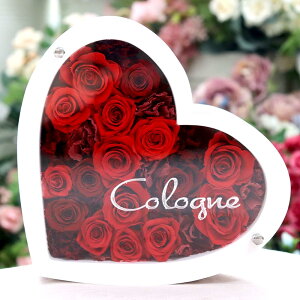  vU[uht[ O  vU[uh t[ a j  v|[Y t[ v[g 蕨 Mtg n[g n[g^ 킢   ޏ 