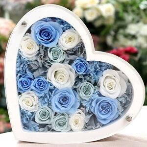 vU[uht[ j a ސEj NސE vU[uh t[ LO  v|[Y t[ v[g 蕨 Mtg n[g 킢  ޏ  