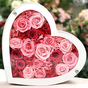 vU[uht[ j a ސEj NސE vU[uh t[ LO  v|[Y t[ v[g 蕨 Mtg n[g 킢  ޏ  