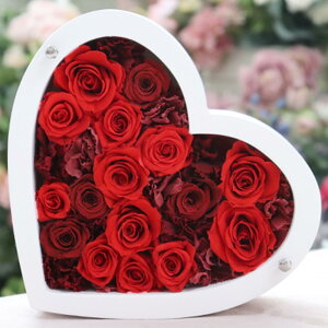 vU[uht[ j a ސEj NސE vU[uh t[ LO  v|[Y t[ v[g 蕨 Mtg n[g 킢  ޏ  