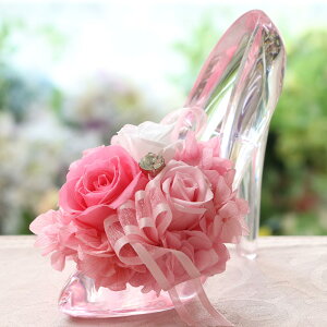 vU[uht[ a j KX̌C d  Ԃ ސEj o LO v[g   KN v|[Y fBYj[  lC vU[ht[ uU