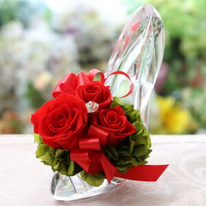 vU[uht[ a j KX̌C d  Ԃ ސEj o LO v[g   KN v|[Y fBYj[  lC vU[ht[ uU