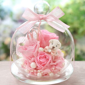 vU[uht[ a ސEj Mtg vU[uh uU[h t[ LO j v[g 蕨 j uU[ht[  t[  킢  