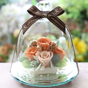 vU[uht[ a Ԃ ސEj Mtg v[g j LO d  җj j Ԃ uU[ht- 蕨  킢  j  o 