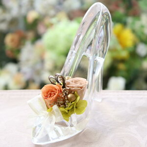 vU[uht[ a j KX̌C d  Ԃ ސEj o LO v[g  j  o KN v|[Y fBYj[  lC uU[uh t