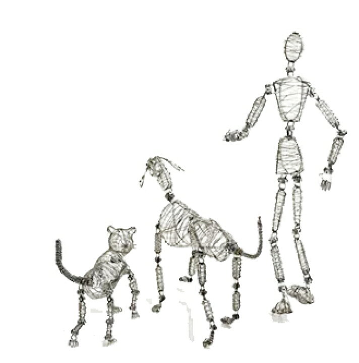 楽天市場 ワイヤー式モデル人形 人型 Adam Man 犬型 Rover Dog 猫型 Whiskers Cat モデル人形 ポーズ人形 デッサン人形 動物 ペット 関節 エンオーク