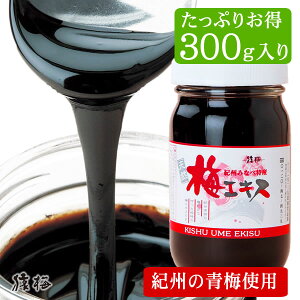 ~GLXi~GLXj300g Y IB~100gp a̎RY IB썂~