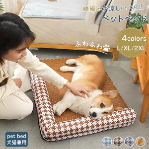 yLpzybgxbh ėp N[}bg ybgp N[ \t@xbh L  ybgpi lR xbh  ybgnEX ڐG⊴ ΍ 􂦂 ʋC Lxbh pxbh }bg 