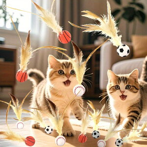 L e̓{[ ^s΍ Ht ˂ LptFU[{[ {[ ˂ C^NeBuȉpZbg L̉HGXeBbN{[SVR