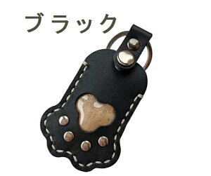 ybg ѓ ʐ^ ЂP[X g   L  1Lʐ^ 킢 AObY 2Zbg ̃J^` L[z_[