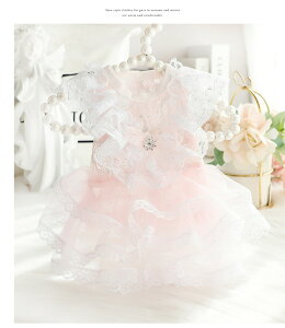 hbOEFA  s[X ybg Lm [X {t Ȃ tďH ̕ Pl [X hX XJ[g s[X lC t@bV ^ ^ L