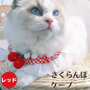  L P[v Lbg EFA[  P[v L[eC VV  ˂  q ^ MK`FbN P[v  L ˂ P[v   ybgp L