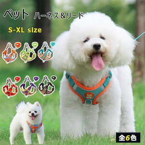 y lCi z {NT[pc LbY pc  j̎q LbY WjA pc 4Zbg  A_[EGA j̎qppc O e Lk ʋC z z _炩 110cm- 170cm C