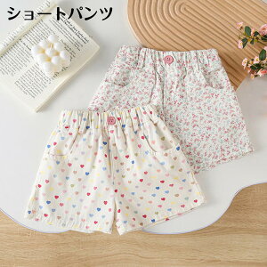  V[gpc q LbY WjA ̎q Zp n[g hbg {gX EGXgS n PF   킢 K[[ L[g |Pbgt q K[