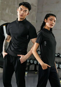 StEFA  fB[X n Vv Lk  gbvX 傫TCY  St fB[X |Vc t S