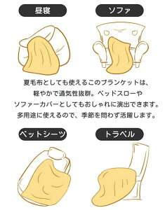 uPbg ėp  y {^jJ Vv ѕz [΍ Mtg xbhJo[ _u 킢 \t@[Jo[ ^IPbg