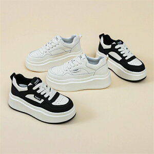  Xj[J[ fB[X [Jbg  t  Xg[gR[f X|[c 5cm ꂢ gAbv C  אg Xj[J[