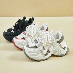  Xj[J[ fB[X [Jbg  t jO X|[c ؍ _bhXj[J[ 4cm ꂢ C  אg Xj[J