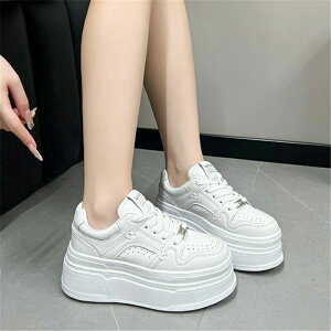  Xj[J[ fB[X [Jbg   Xg[gR[f H~ 8cm ꂢ C  אg Xj[J[fB[X ₷