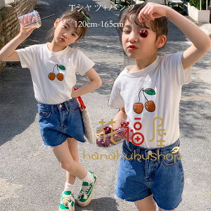 q JWA ĕ ̎q ZbgAbv  TVc+ fjV[gpc 2_Zbg s ][gi ʊw K[