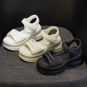 uX[p[SALEzvXj[J[ fB[X T_ fB[X X|[cT_  X|[c  T_Xj[J[ fB[X gAbv ₷ l s Xj[J[ fB[