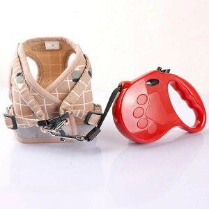 �L�p�n�[�l�X ���[�h �L �n�[�l�X �����Ȃ� ���� �L �l�R ���[�h �S6�F �_�u�����b�N ���b�V�� �L�p �L���b�g �˂� ���^�� ���킢�� ���o���� ������� �U�� �O�o �ʉ@ �ЊQ ��� ����Ȃ� �y